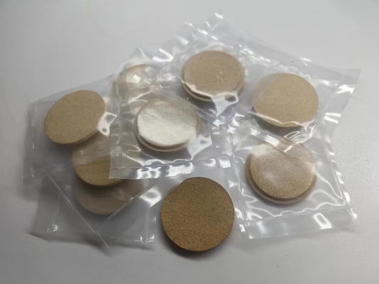 Protective Disc 1010354  Gema Powder Coating Spare Parts Application Pump Optispray AP 01.1