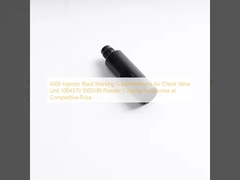 IG06 Injector Black Marking Supplementary Air Check Valve Unit 1004370 1005590 Powder Coating Accessories at Competitive Price